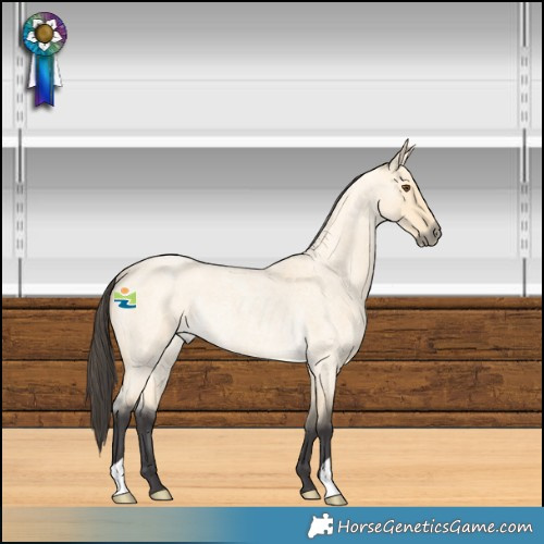 Horse Color:Buckskin Roan Dun Rabicano 