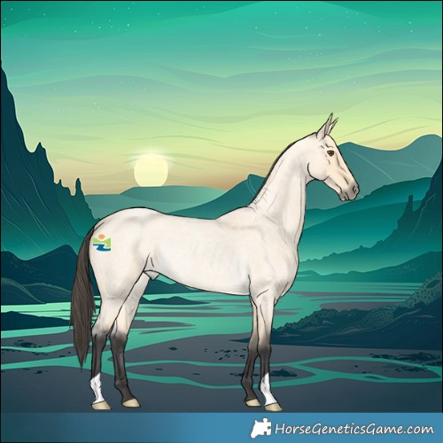 Horse Color:Buckskin Roan Dun Rabicano 