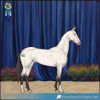 Horse Color:Buckskin Roan Dun Rabicano