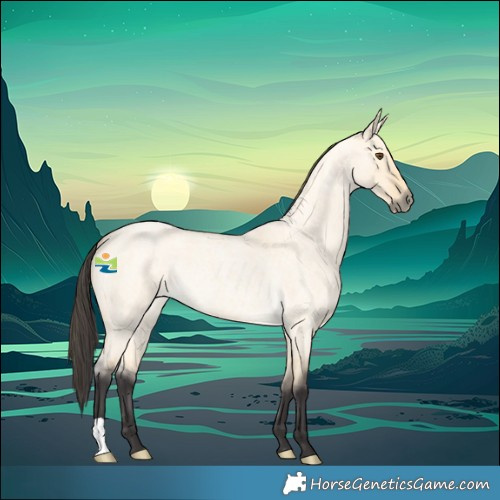 Horse Color:Buckskin Roan Dun 