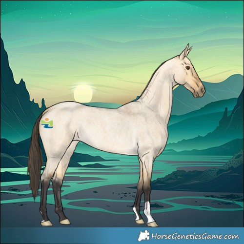 Horse Color:Buckskin Roan Dun