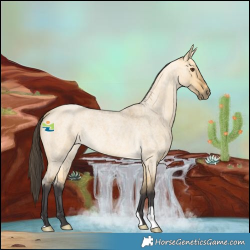 Horse Color:Buckskin Roan Dun 