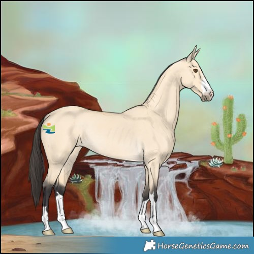Horse Color:Buckskin Dun Rabicano 