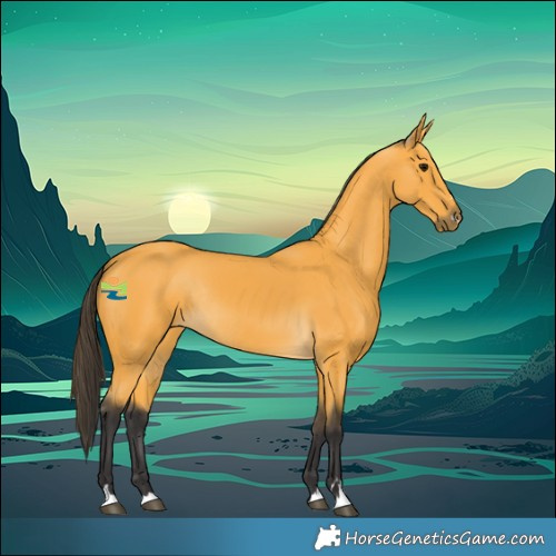 Horse Color:Buckskin Rabicano 