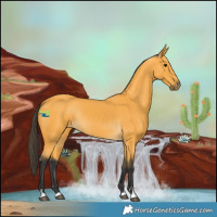 Horse Color:Buckskin Rabicano