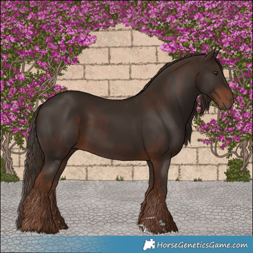 Horse Color:Liver Chestnut  and Liver Chestnut 