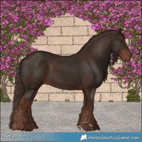 Horse Color:Liver Chestnut  and Liver Chestnut 