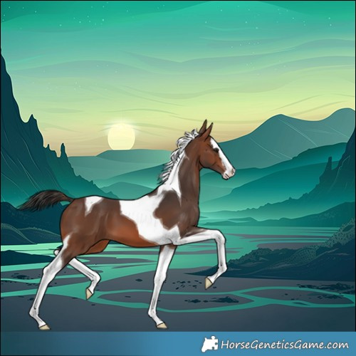Horse Color:Brown Splash Tobiano 