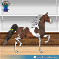 Horse Color:Brown Splash Tobiano 