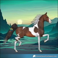 Horse Color:Brown Splash Tobiano