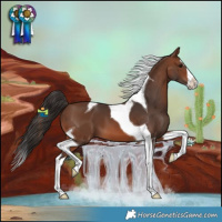 Horse Color:Brown Splash Tobiano