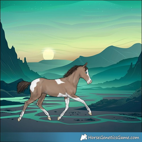 Horse Color:Classic Champagne Splash Tobiano 