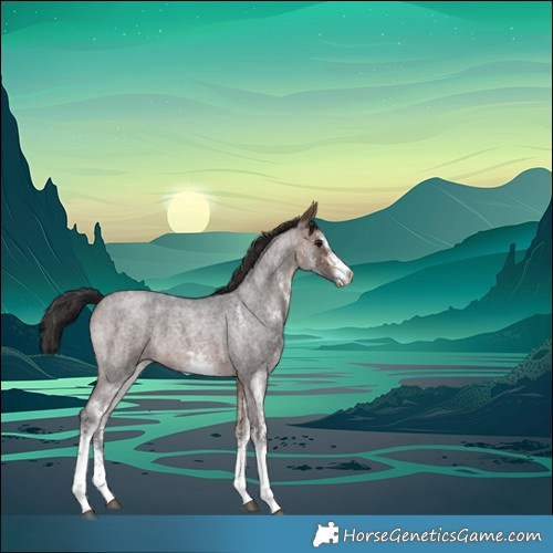 Horse Color:White Spotted Brown Roan 