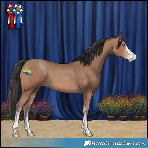 Horse Color:White Spotted Sable Champagne