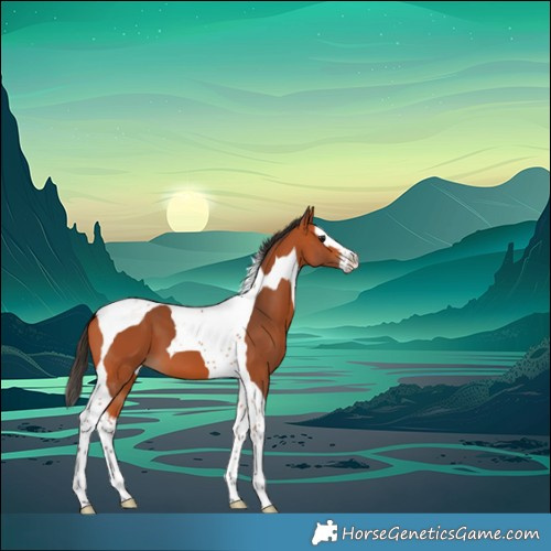 Horse Color:Bay Splash Tobiano 