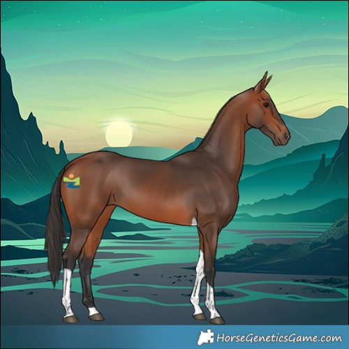 Horse Color:Bay Tobiano