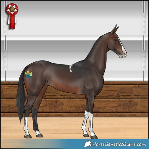 Horse Color:Brown Splash Tobiano Rabicano