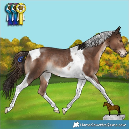 Horse Color:Liver Chestnut Tobiano Rabicano  and Liver Chestnut Tobiano Rabicano 