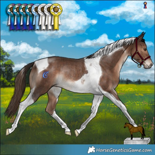 Horse Color:Liver Chestnut Tobiano Rabicano  and Liver Chestnut Tobiano Rabicano 