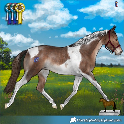 Horse Color:Liver Chestnut Tobiano Rabicano and Liver Chestnut Tobiano Rabicano