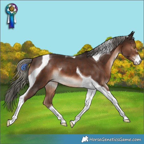 Horse Color:Liver Chestnut Mushroom Tobiano