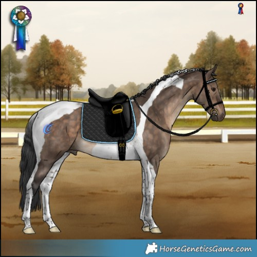 Horse Color:Brown Dun Tobiano Rabicano