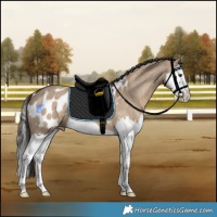 Horse Color:Liver Red Dun Splash Blanket 