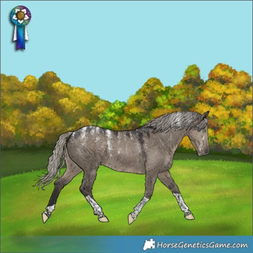 Horse Color:Powder White Silver Smoky Grullo Tobiano