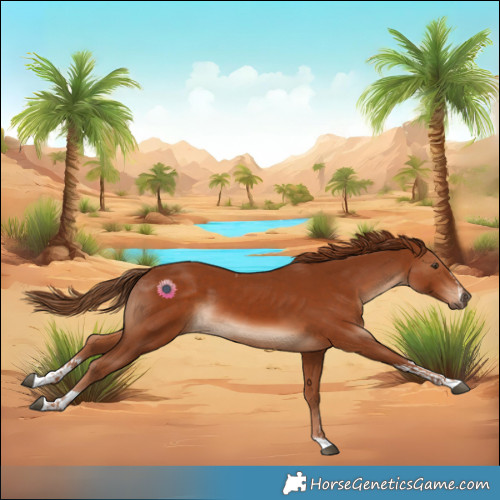 Horse Color:Chestnut and Chestnut Tobiano