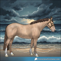 Horse Color:Amber Champagne Tobiano