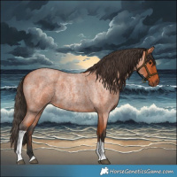 Horse Color:Bay Roan Tobiano