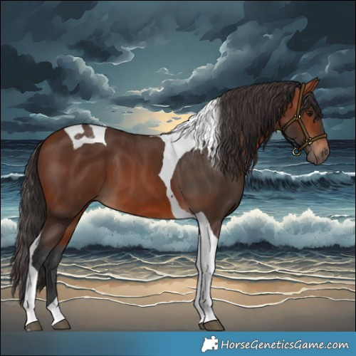 Horse Color:Bay Tobiano