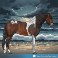 Horse Color:Bay Tobiano 