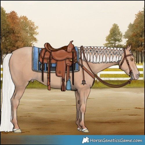 Horse Color:Silver Classic Champagne 