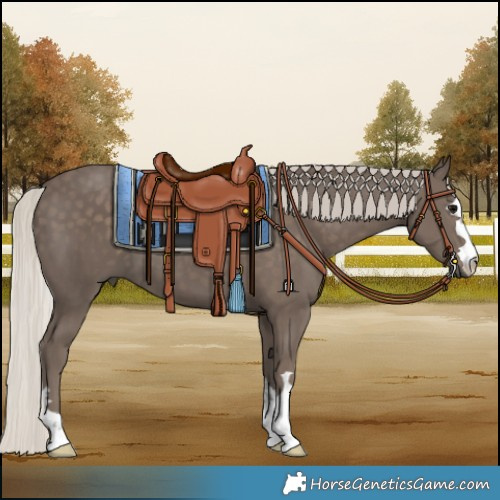 Horse Color:Silver Black