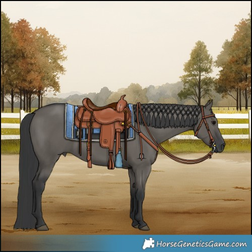 Horse Color:Grullo