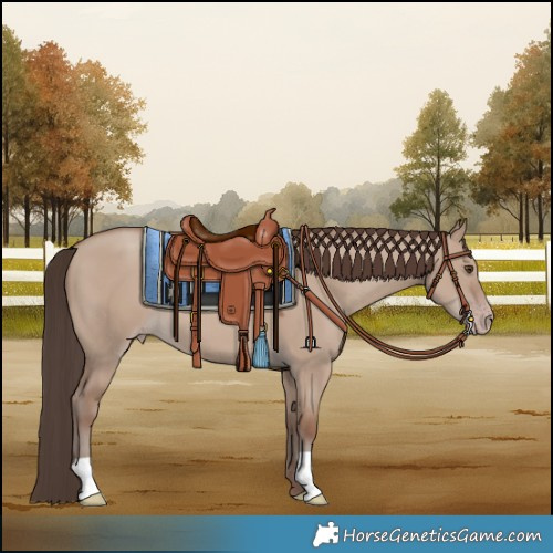 Horse Color:Classic Champagne Dun 