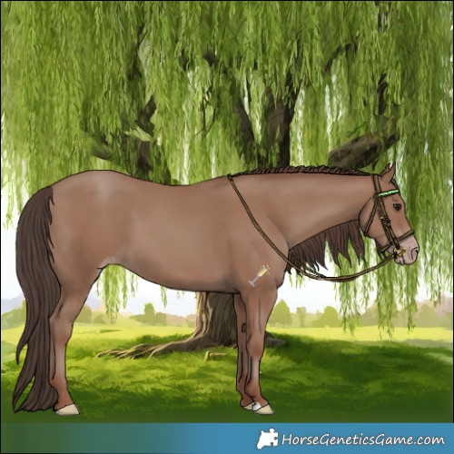 Horse Color:Classic Champagne 