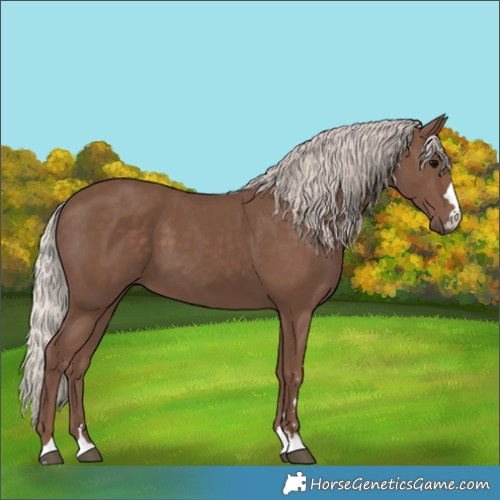 Horse Color:Silver Black 