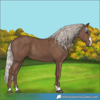 Horse Color:Silver Black 