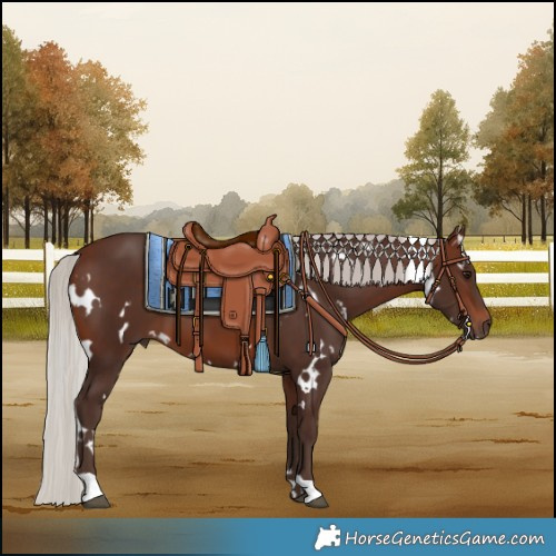 Horse Color:White Spotted Silver Brown 