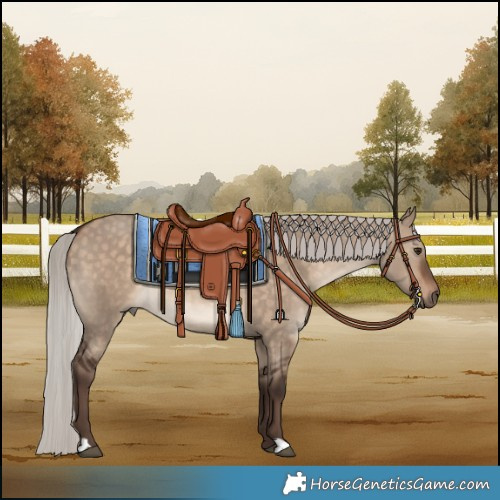 Horse Color:Silver Bay Dun 