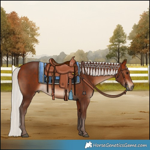 Horse Color:Silver Bay 