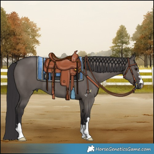 Horse Color:Smoky Grullo 