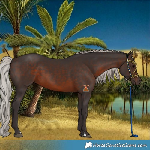 Horse Color:Silver Brown 