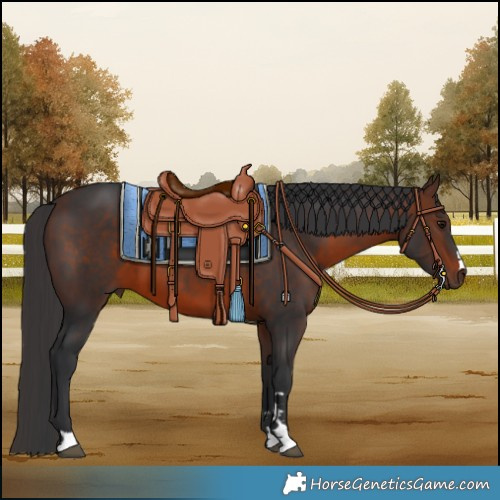 Horse Color:Brown 