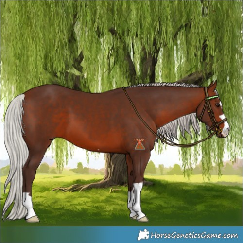 Horse Color:Silver Brown