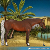 Horse Color:Silver Brown 