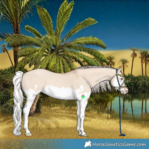 Horse Color:Silver Classic Champagne Dun Splash Frame 