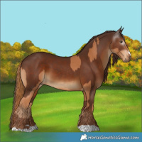 Horse Color:Chestnut and Gray Chestnut